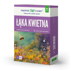 Łąka kwietna