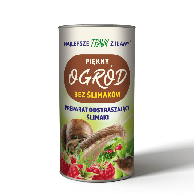 ślimaki